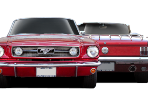 mustang mustang