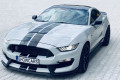 Ford-Mustang-GT350-SHELBY-1
