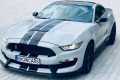 Ford-Mustang-GT350-SHELBY-2