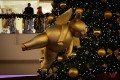 letnany-17-12-18-12-2011-1