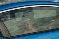 sosnova-28-07-2013-124